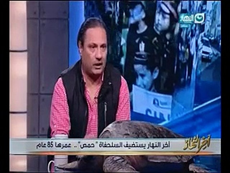 جابر القرموطى يقبل سلحفاة على الهواء بـ"آخر النهار" ومدير المحميات الطبيعية: ثروة قومية