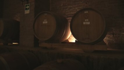 China desplaza en 2016 a EE.UU. como principal destino de vinos chilenos