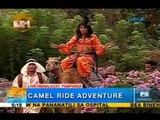 PH's first camel ride on Unang Hirit | Unang Hirit