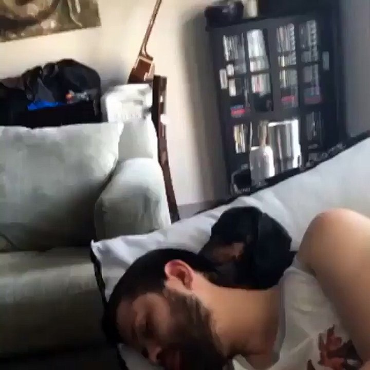 weloveshortvideos.com-post-156858735746