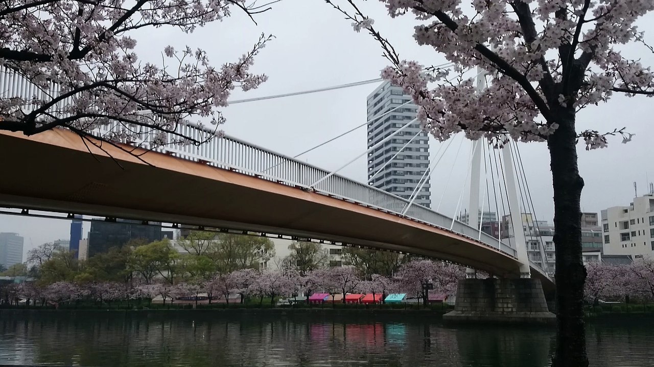 大阪造幣局前～桜ノ宮大橋
