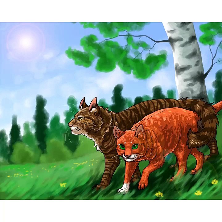 Squirrelfight X Brambleclaw song-you were meant for me