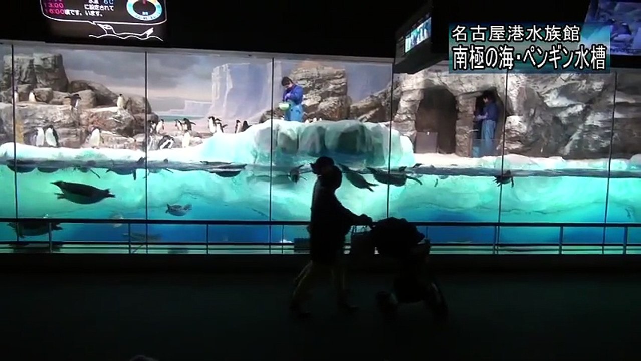 名古屋港水族館シリーズ 「南極の海・ペンギン水槽」