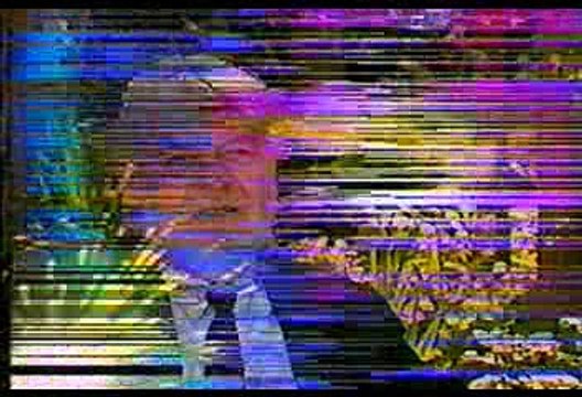 Diario De Ovnis - 11 - ¿Qué Desean? - Fox (1995)