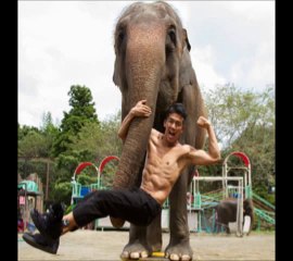 バナナマン設楽が知る武井壮の凄い話