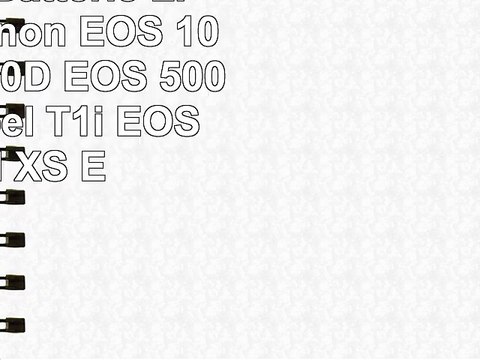 Chargeur Batterie LPE5 pour Canon EOS 1000D EOS 450D EOS 500D EOS Rebel T1i EOS