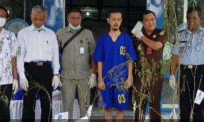 Kemenkes: Legalisasi Ganja di Indonesia Masih Perlu Proses