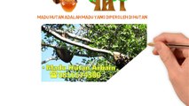 0816574300 Jual Madu Asli Ternak