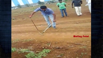 Indian Boy Catches Snake ... Shocking End ..Must Watch!!!
