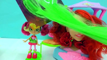 DIY Do It Yourself Craft Big Inspired Shopkins Shasd