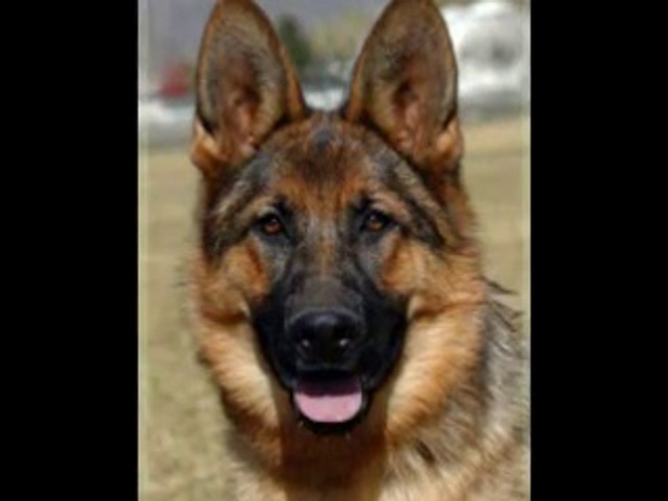 Déjà 2 mois mais c'est comme si c'était hier. Tu me manques.