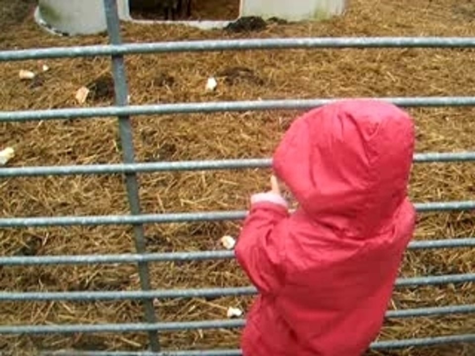 Louna et les Moutons