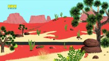 Mouk, der Weltreisebär 101. Abenteuer in der Wüste | Mehr auf KiKA.de