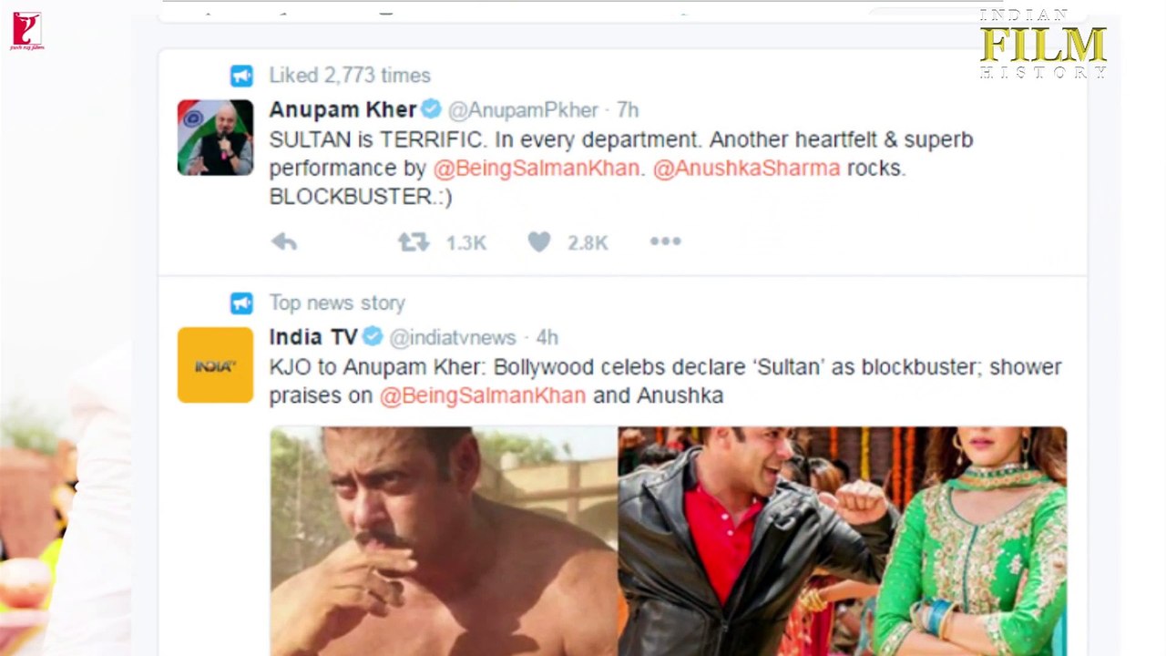 Sultan Movie Review | Celebrity Review | Salman Khan , Anushka Sharma , Randeep Hooda .