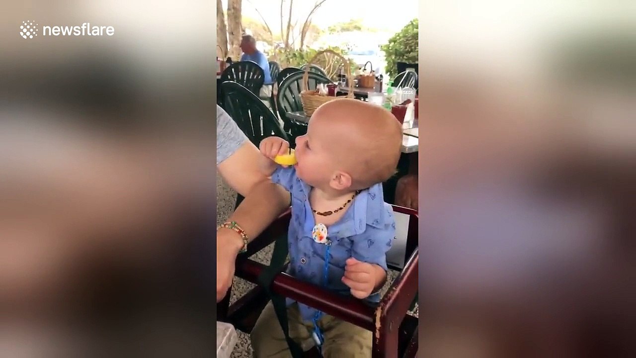 Baby tries lemon for the first and isn't convinced