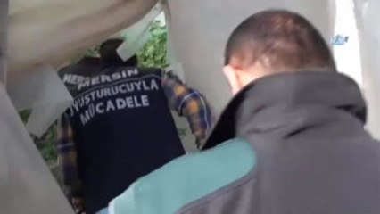 Salatalık Serasında Uyuşturucu
