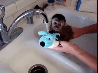 배팅사이트추천〃〃SCB 33。ＣOM【코드: 0004】〃〃마틴루틴제재없는