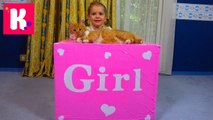 Катя и кошечка Мурка открывают большой сюрприз в коробке для девочек Кролик и граммофон для кошек