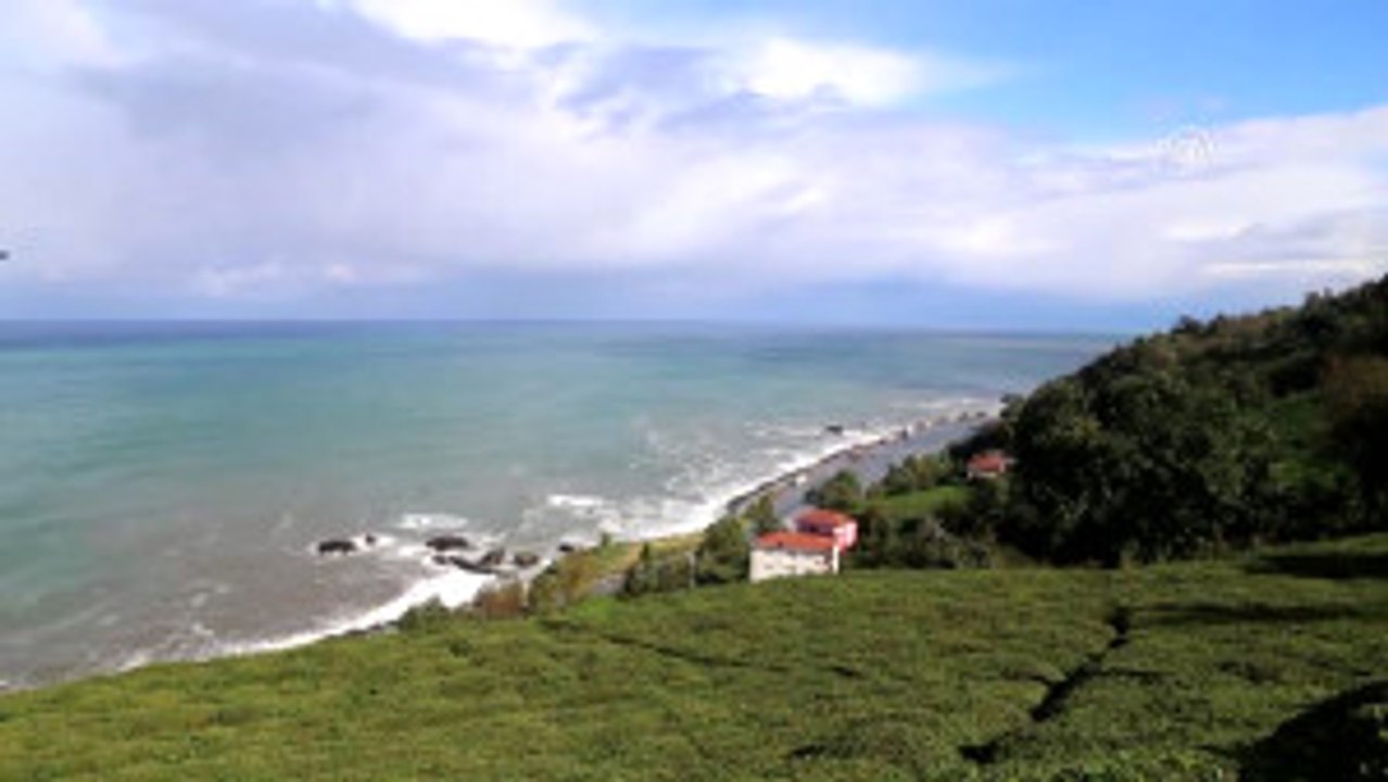 THY Genel Müdürü Ekşi: "Türk Hava Yolları Geçmiş Yıllarda Olduğu Gibi Bu Yılda Büyümesine Devam...