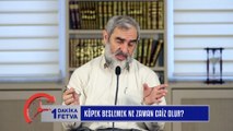 346) Köpek beslemek ne zaman caiz olur?/Birfetva - Nureddin YILDIZ