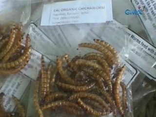 Saksi: Malutong at maanghang na chichaworm, patok sa mga bumibisita sa python at wildlife park
