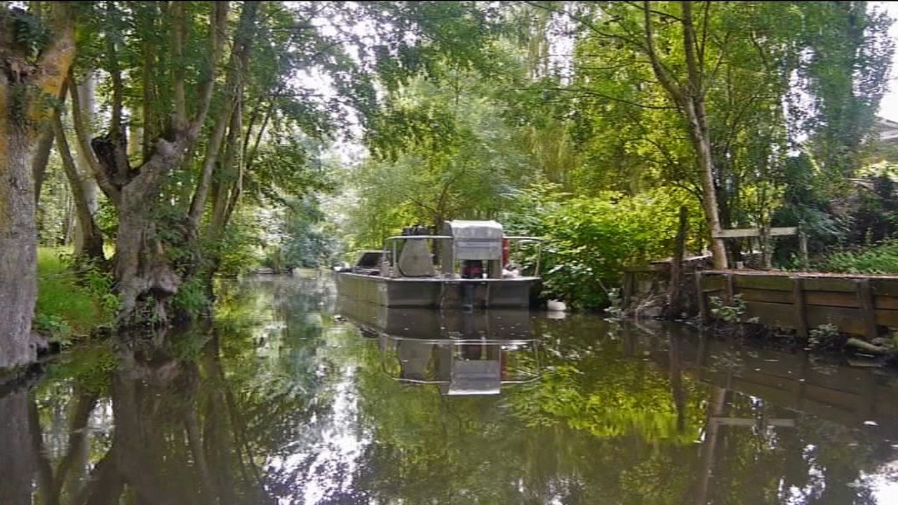 croisière au vanneau dans le marais poitevin