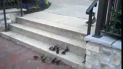 Keep trying and you will Succeed