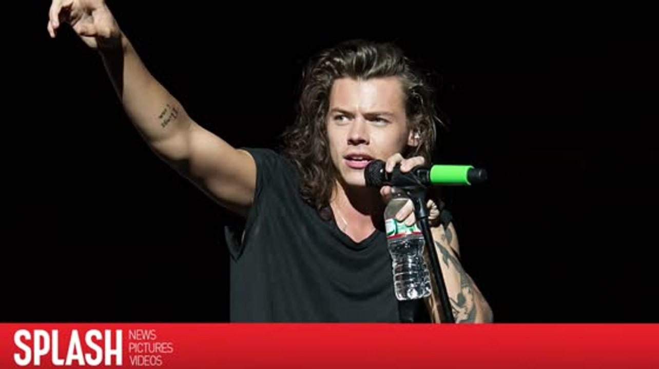 Harry Styles est célibataire depuis longtemps