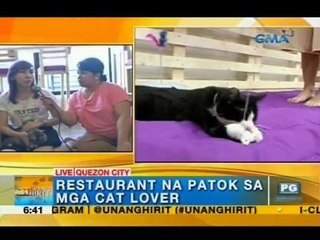 A good meow-ning with cats at QC resto | Unang Hirit