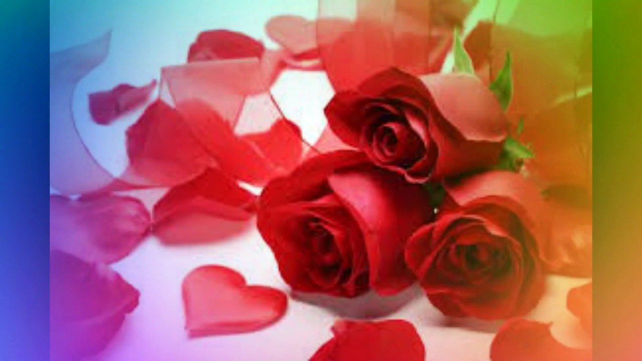 Beautiful Curvy Girls. Belles Filles rondes