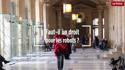 Faut-il un droit pour les robots ?