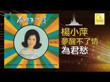 楊小萍 Yang Xiao Ping- 為君愁 Wei Jun Chou (Original Music Audio)