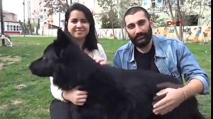 Download Video: Üniversiteli çift 'Karre' adlı köpeğin göz ameliyatı için kampanya başlattı