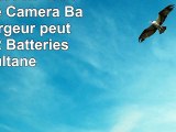 Invero NPBN1 NP BN1 LCD Double Caméra Batterie Chargeur peut charger 2 Batteries