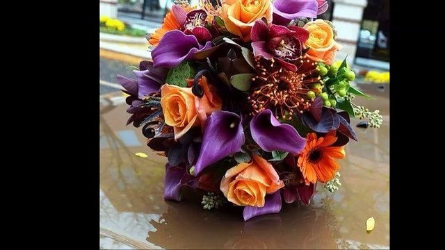 cheb Rachid (ya hbib el9alb) , الشاب رشيد (يا حبيب القلب)