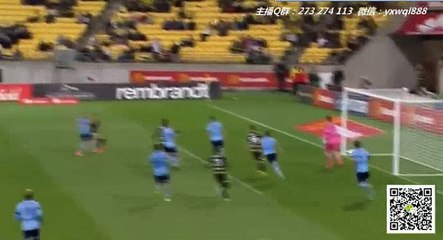 Michael McGlinchey Goal HD -  Wellington Phoenix - Sydney FC 1-1 (08-04-2017)