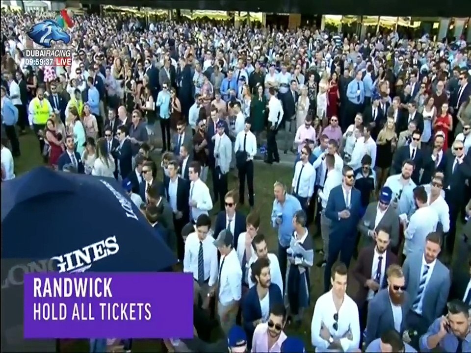 2017 Sydney Cup (Abandoned)
