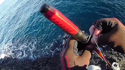 201702【伊豆の地磯】松崎町『室崎』編　後編　寒メジナ釣れた！？