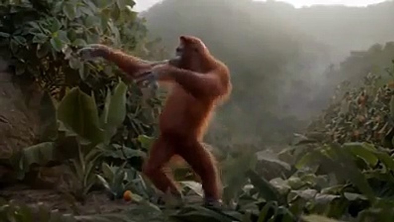 Monkie