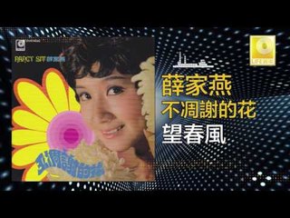 薛家燕 Nancy Sit - 望春風 Wang Chun Feng (Original Music Audio)