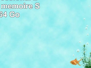 Lexar Professional 2000x Carte mémoire SDHX 64 Go