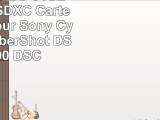 DigiChip 64 GO 64GB CLASS 10 SDXC Carte Memoire pour Sony Cybershot CyberShot DSCRX100