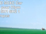 DigiChip 64 GO 64GB CLASS 10 SD SDXC Carte Mémoire pour Olympus Stylus SH1 SH2 1S