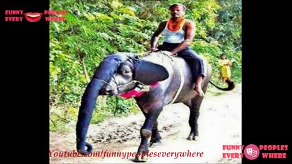 It Happens Only In India 2016