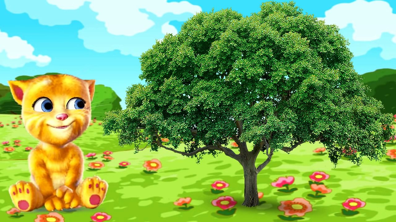 حروف الهجاء - تعليم الحروف العربية للاطفال