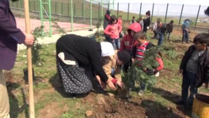 Engelli Öğrenciler Köy Okulunda Fidan Dikti