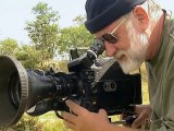 Africa Lions Documentary on the Lions of South Africas Kruger National Park