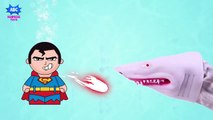 SUPERHEROES vs SHARK ATes Finger Family Rhymes _ Learn Colors w_ Shark Finger Fa