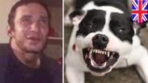 BBCのインタビュー中、飼い犬に襲われ死亡　英