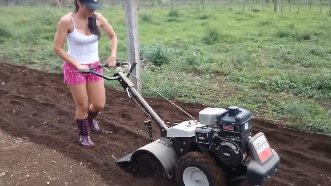 Primitive Technology vs World Amazing Modern Agriculture Progress Mega Machines Farming Equipment